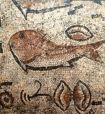 "Vila" romana de Milreu - pormenor de mosaico "Vila" romana de Milreu - pormenor de mosaico
