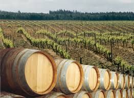 Roteiro _ Entre Vinhos e Pipas Roteiro _ Entre Vinhos e Pipas