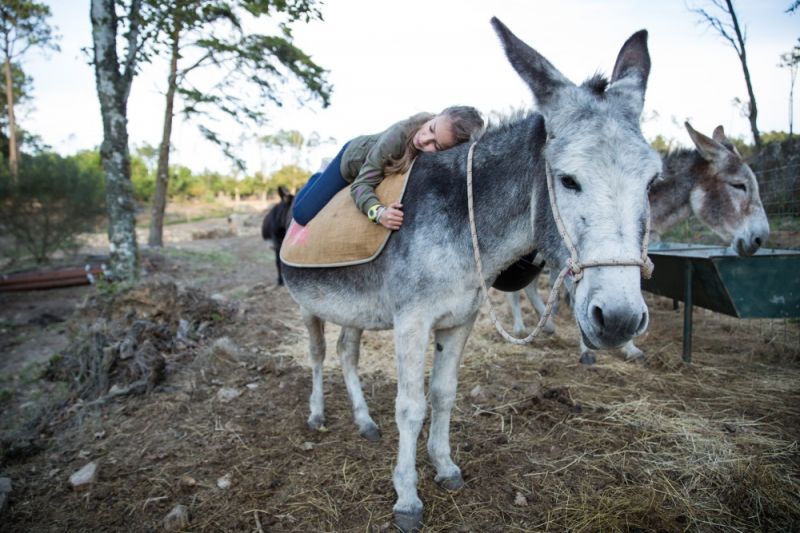 Jogos para crianças: Burro