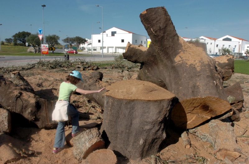 Bairro da Malagueira, Évora ANTÓNIO CARRAPACHO Bairro da Malagueira, Évora ANTÓNIO CARRAPACHO