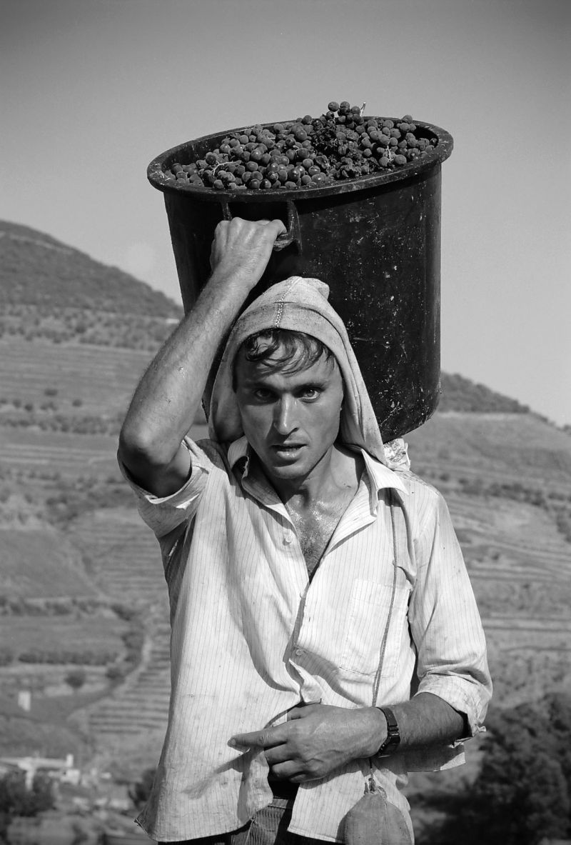 Pinhão, Douro, 1997 © Alfredo Cunha