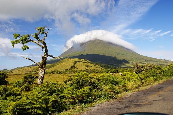 Pico - Montanha do Pico