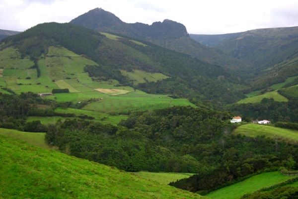 Flores - paisagem do interior da ilha