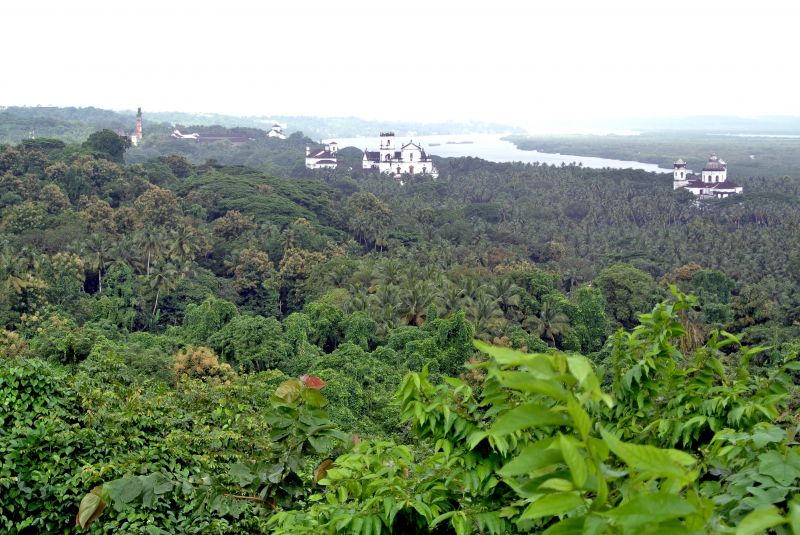 Vista a partir da Capela de Nossa Senhora do Monte (foto Helena Serra 2014) 