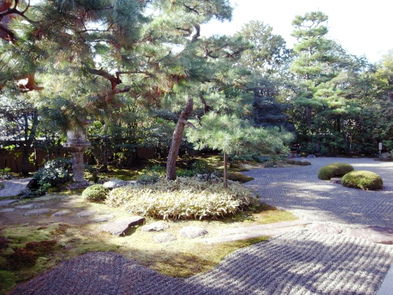 Jardim do templo Myoho-in (foto Helena Serra)