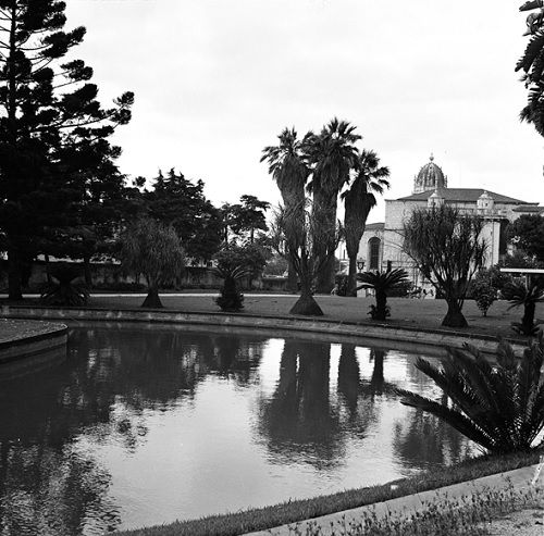Imagens do antigo Jardim Tropical, também designado Jardim Agrícola Tropical (fotografias: coleção do Arquivo Municipal de Lisboa)