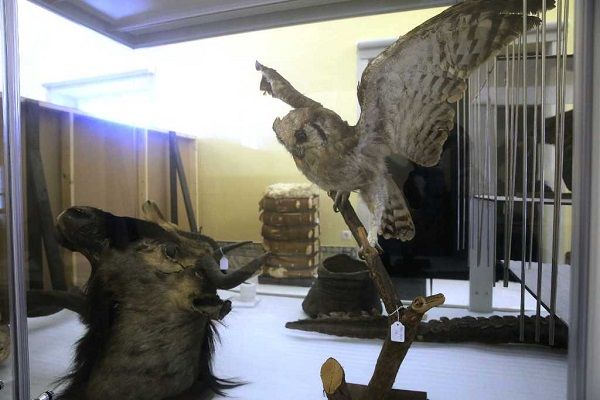 Uma das salas contém espécimes da fauna, também recolhidos em missões científicas Uma das salas contém espécimes da fauna, também recolhidos em missões científicas