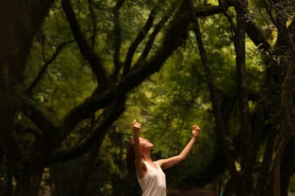 Dança Haiku Dança Haiku