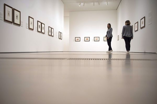 Iniciativa arranca com a exposição “Corpo e Paisagem”. Foto de arquivo Iniciativa arranca com a exposição “Corpo e Paisagem”. Foto de arquivo