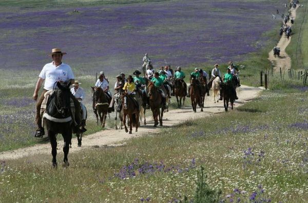 Romaria a Cavalo DR Romaria a Cavalo DR
