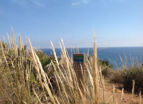 No troço Sagres-Lagos DR