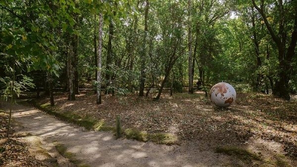 Obra de Miguel Palma na Mata do Fontelo, em Viseu © Direitos reservados