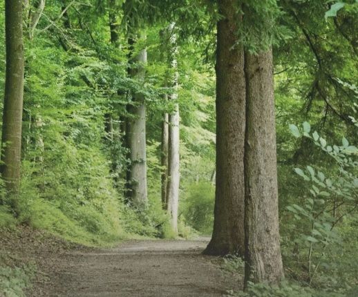 Os trilhos interligam natureza e património DR