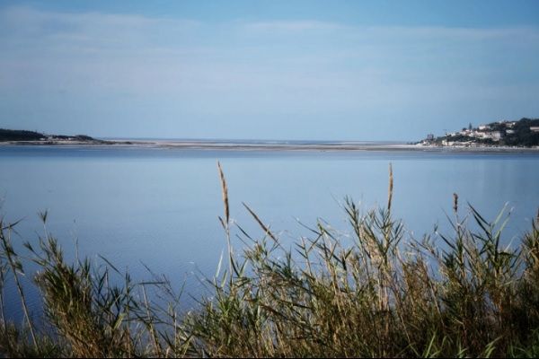 Parte dos percursos circula ao largo da lagoa de Óbidos,Parte dos percursos circula ao largo da lagoa de Óbidos_Rui Gaudêncio