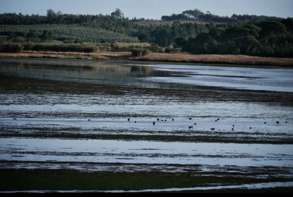 Parte dos percursos circula ao largo da lagoa de Óbidos_Rui Gaudêncio Parte dos percursos circula ao largo da lagoa de Óbidos_Rui Gaudêncio