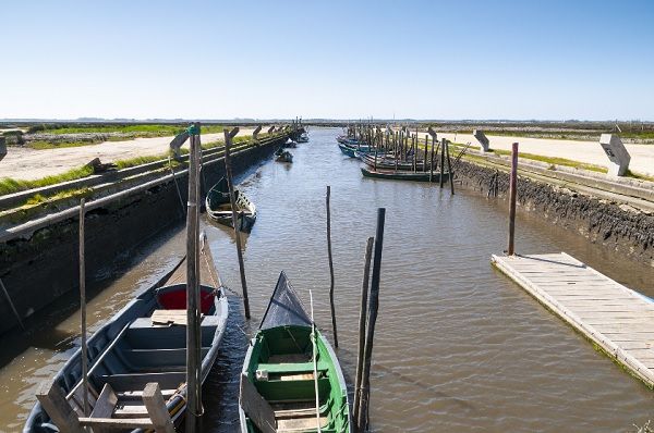 Esteiro da Ribeira da Aldeia, Pardilhó, Estarreja_Fernando Romão 