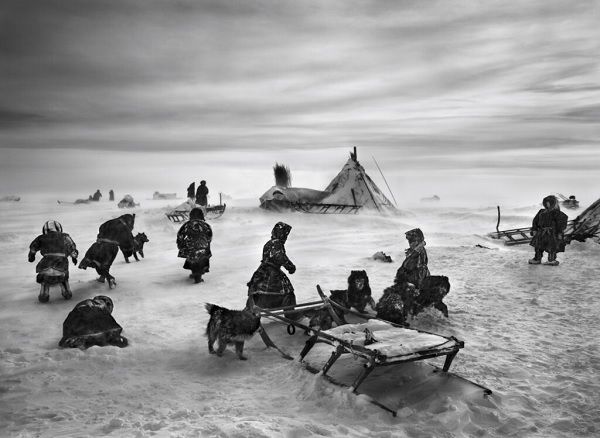 Circulo Ártico. Península Yamal, Sibéria, Rússia - 2011 Circulo Ártico. Península Yamal, Sibéria, Rússia - 2011