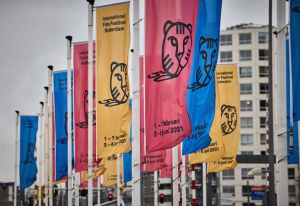 A edição 50 do Festival de Roterdão vai decorrer em duas tranches: fevereiro e junho IFFR
