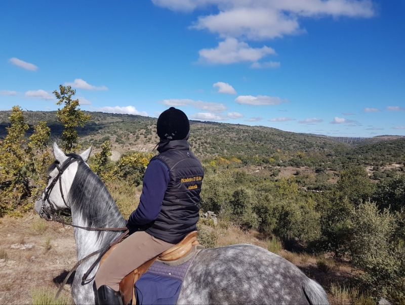 Picadeiro D'el Rey