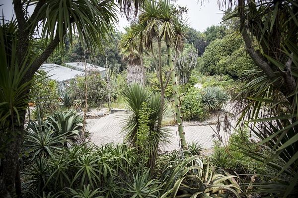O Jardim Botânico da Universidade do Porto é um dos que integra o 12 Garden Experiences. Nelson Garrido