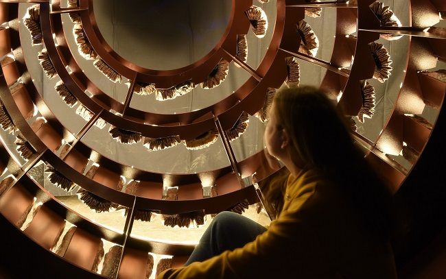 Magma Cellar
