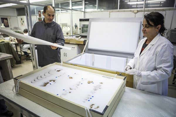 João Zilhão, arqueológo, e Cidália Duarte, antropóloga, ligados ao estudo do esqueleto da Criança do Lapedo desde o começo, fotografados junto aos ossos que estão guardados no Museu Nacional de Arqueologia_Nuno Ferreira Santos