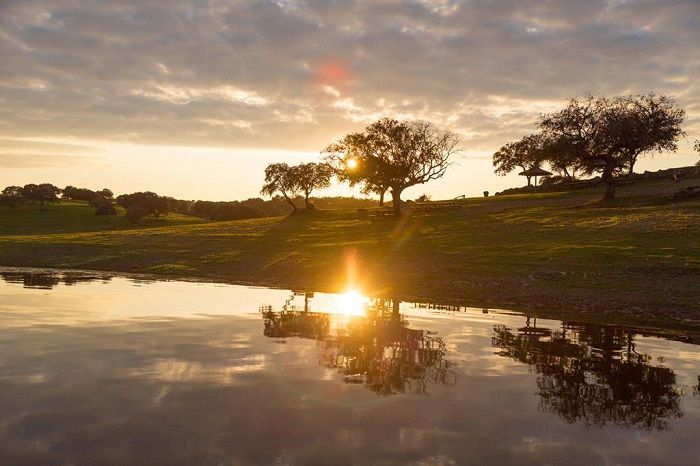 Parque de Eventos de Campinho recebe a maioria das iniciativas. Foto: DR