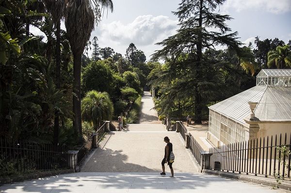 O novo trilho liga vários espaços da cidade, incluindo o Jardim Botânico da Universidade de Coimbra_Nelson Garrido