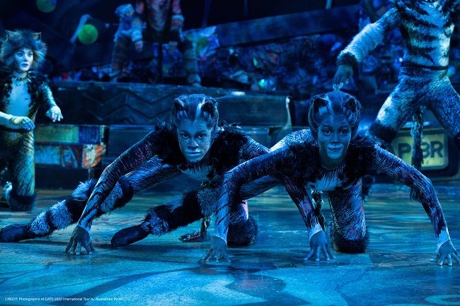 Visão  Musical Cats, em Lisboa e no Porto: A tribo Jellicle está de volta