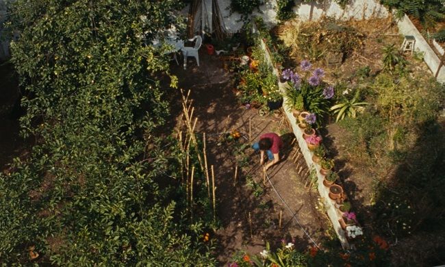 Em "Natureza Humana", Crista Alfaiate e João Vicente estão no papel de um casal que questiona a sua vida durante a pandemia DR