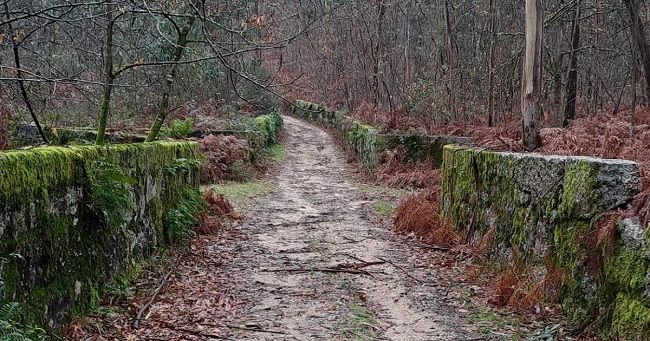 O granito e os bosques de Tadim_Junta de Freguesia de Tadim