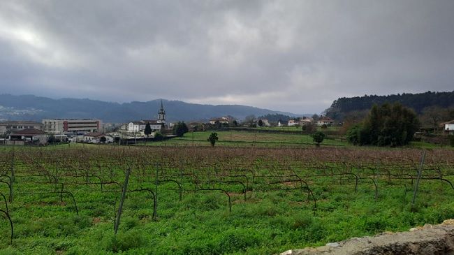 A paisagem ao longo do trilho_ Junta de Freguesia de Tadim