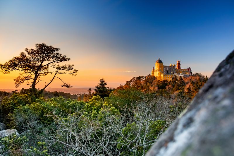 Parque e Palácio Nacional da Pena © PSM / Luís Duarte