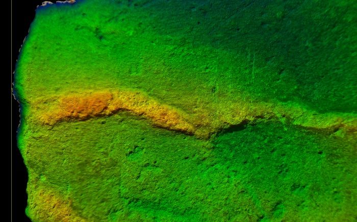 Detalhe 3D da escavação deixada por um animal ao percorrer o interior dos sedimentos; note-se o percurso serpenteante que produziu, assim como a perturbação dos sedimentos na envolvente à sua passagem. Análise fotogramétrica de Girolamo Lo Russo (Museu de História Natural de Piacenza). Detalhe 3D da escavação deixada por um animal ao percorrer o interior dos sedimentos; note-se o percurso serpenteante que produziu, assim como a perturbação dos sedimentos na envolvente à sua passagem. Análise fotogramétrica de Girolamo Lo Russo (Museu de História Natural de Piacenza).