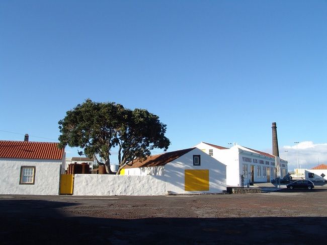 Museu da Indústria Baleeira © Museu do Pico