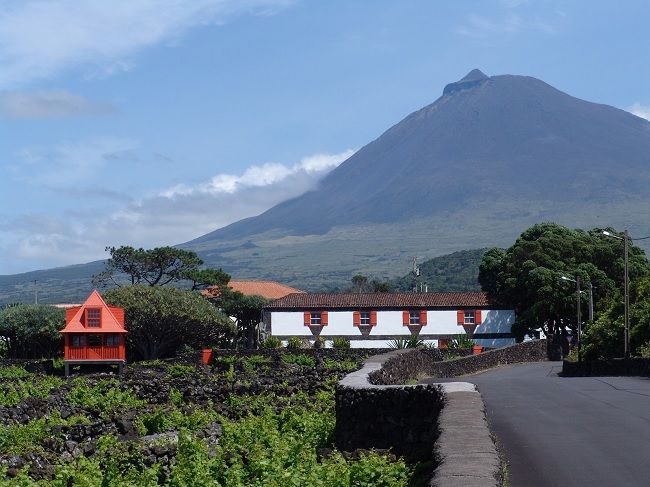 Museu do Vinho © Museu do Pico