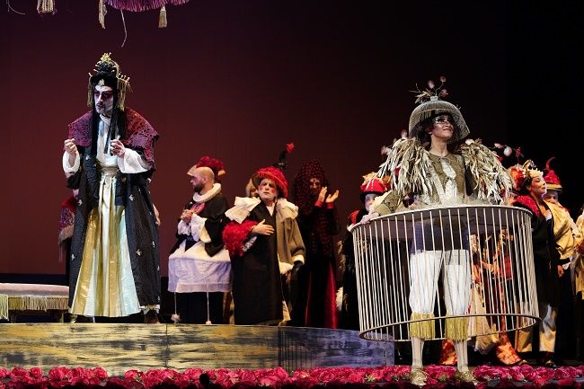 © António Pedro Ferreira © António Pedro Ferreira