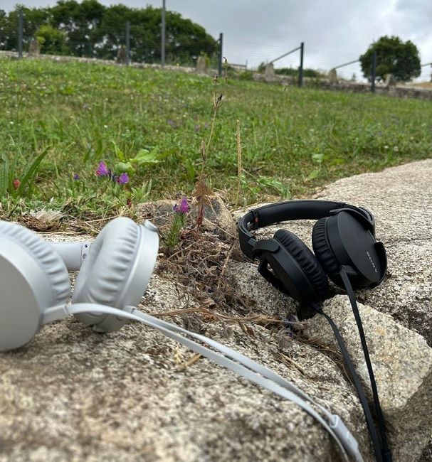 Foto: DR Foto: DR