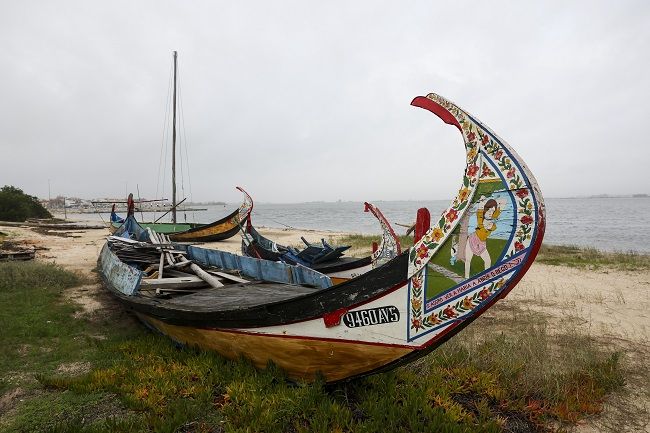 © Paulo Novais/Lusa